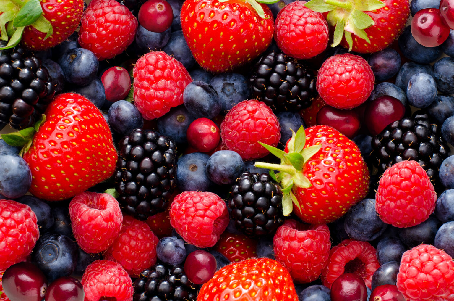 National Berry Crops Initiative - To enhance the health and ...