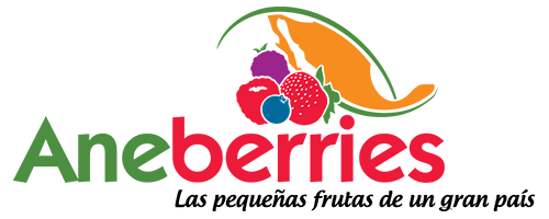2025 BHBS Berry Sponsor Aneberries Logo